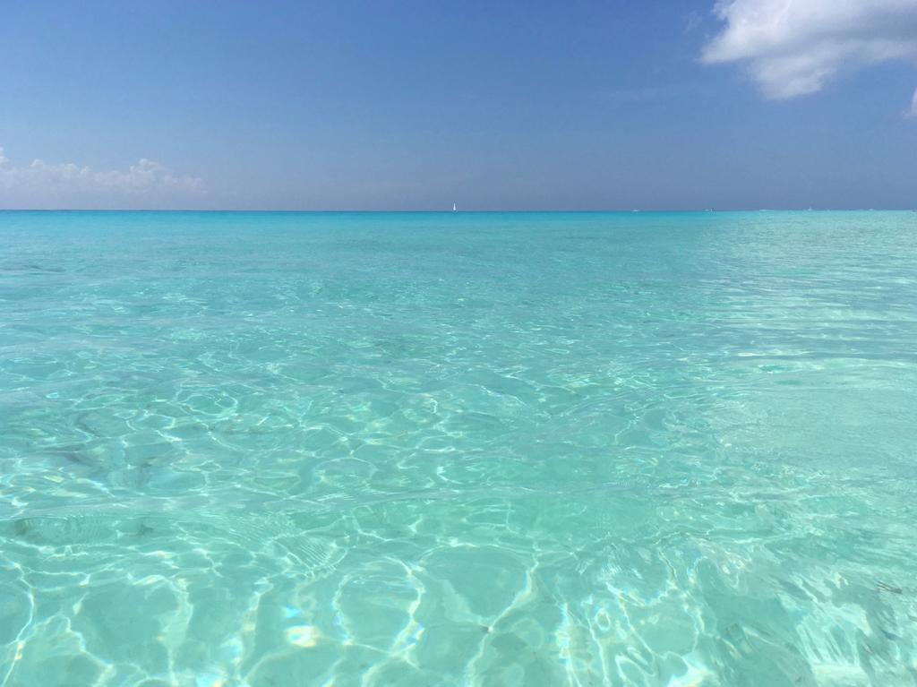 B&B Villa Hibiscus Playa del Carmen Eksteriør bilde